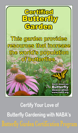 BGcerthomepageforweb